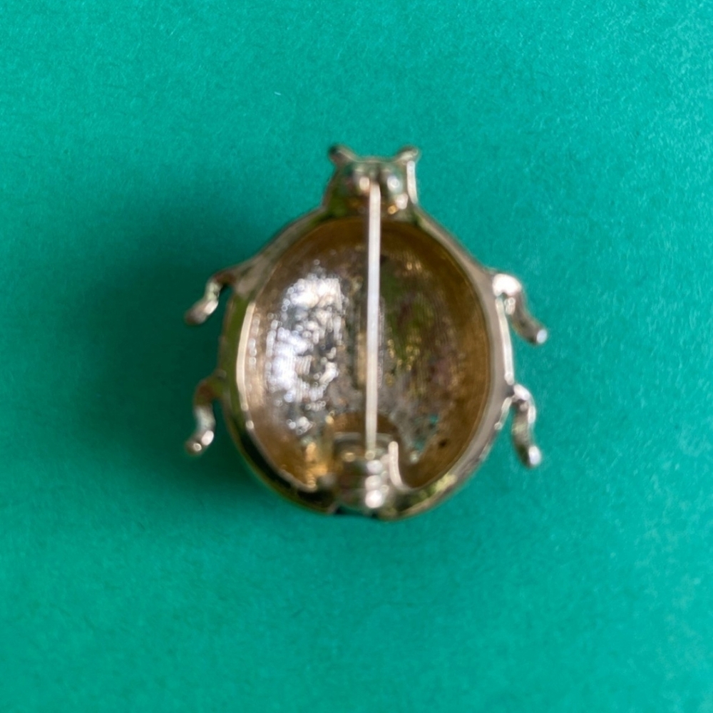 Lady bug - Picture 2 of 2